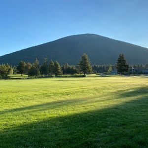 Meet your Posher, Whitney